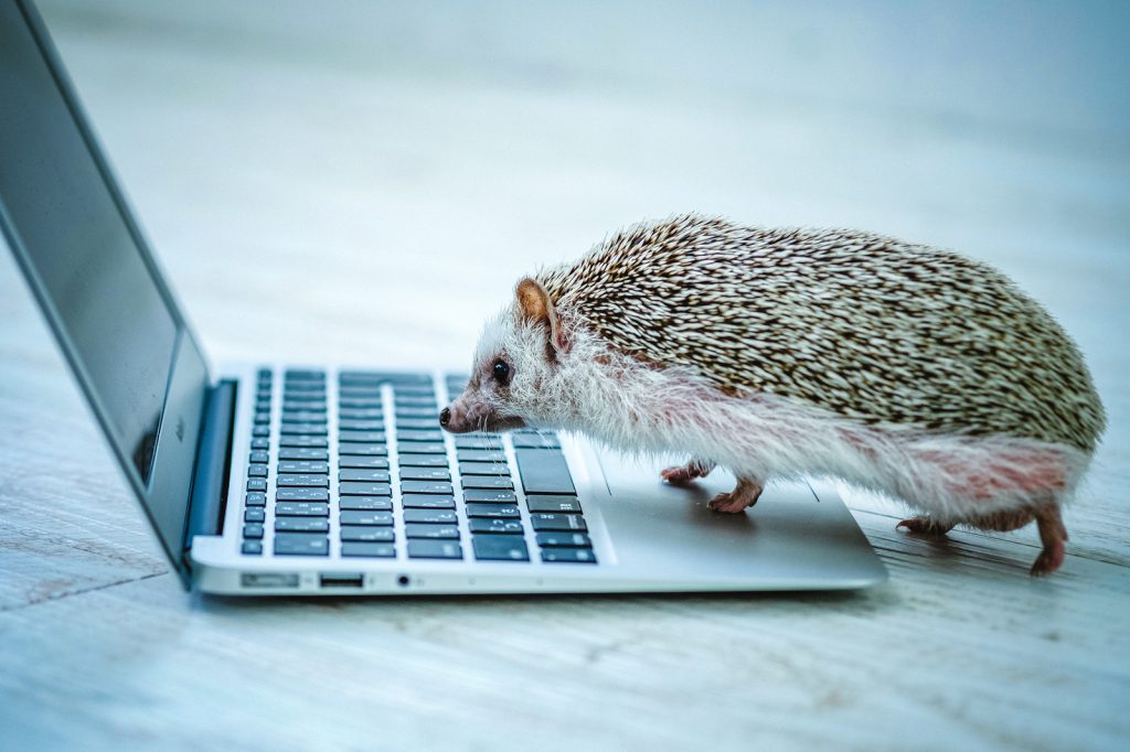 修理だけではありません。