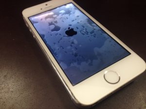 こうなっていたら液晶が壊れています