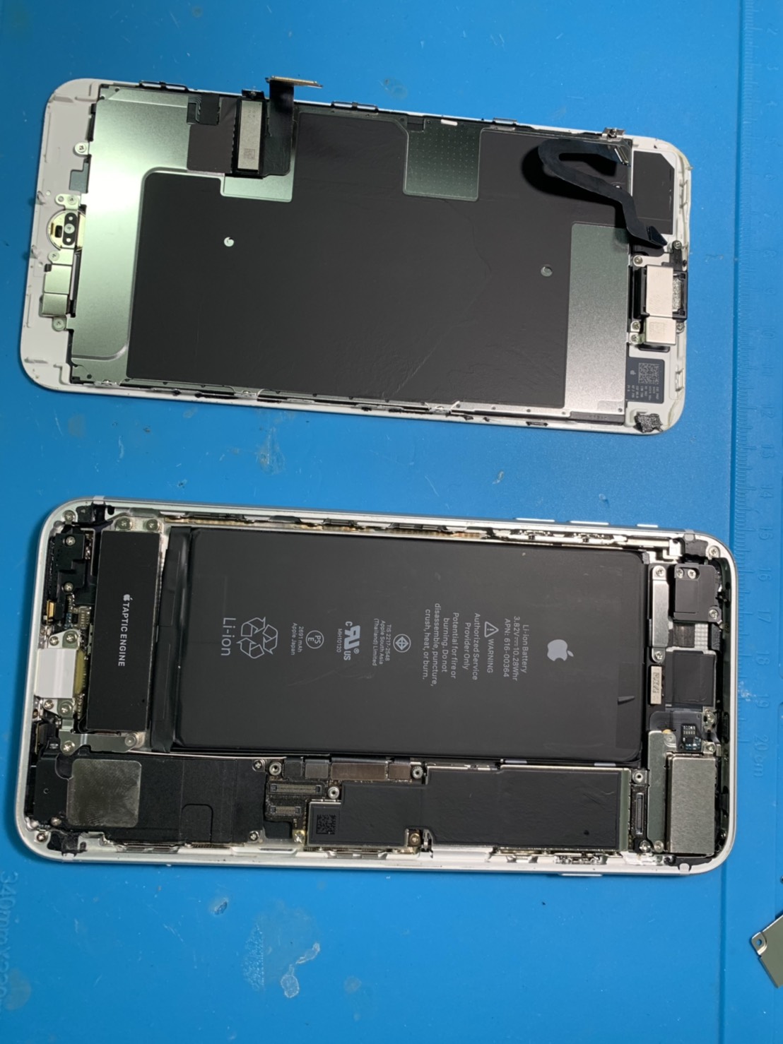 【自己修理をしたい方必見】iPhone 8 Plusガラス割れ修理