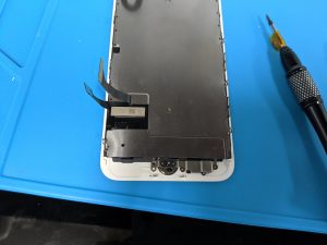 本日は営業しております！