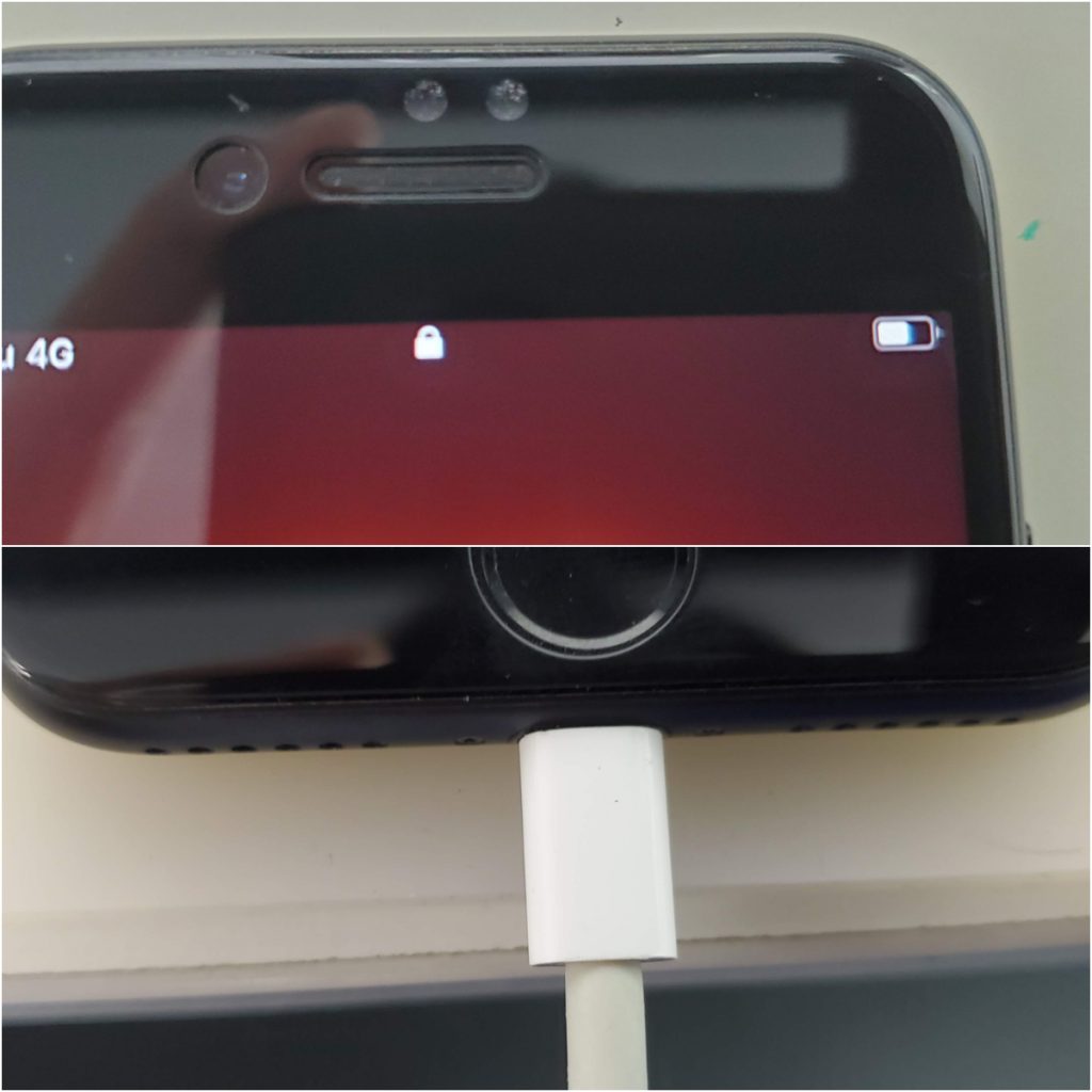 iPhone7本体＋充電ケーブル