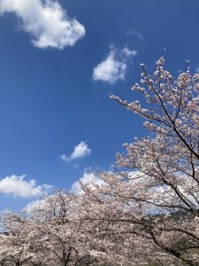 新生活に向けてiPhoneを修理しましょう！