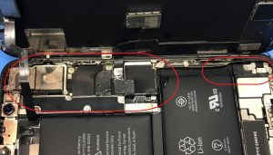 本日は天候が良くないですが、元気に営業中です♪