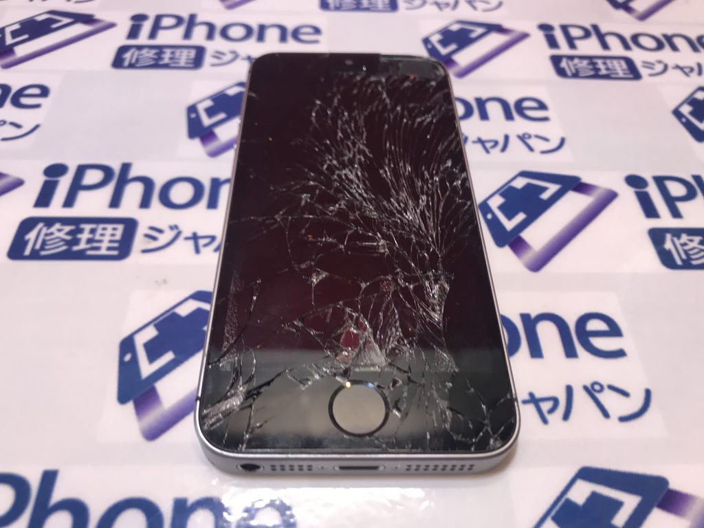 本日も変わらず元気に営業中です！