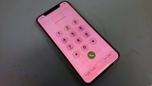 暖かくなりましたね。本日も変わらず営業しております！