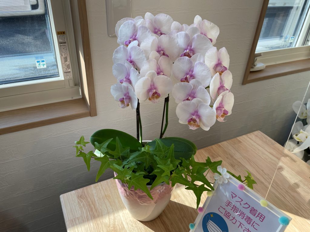 iPhone修理ジャパン静岡清水店です!!