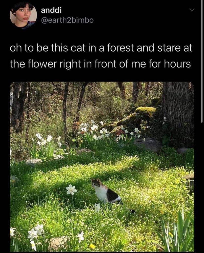 アーシングって？