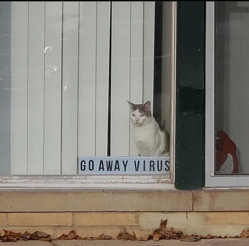 iPhoneセキュリティ大丈夫？