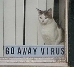 スマホの感染症