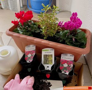 静岡でアイフォン修理をお探しの方はiPhone修理ジャパン静岡清水店へ！！