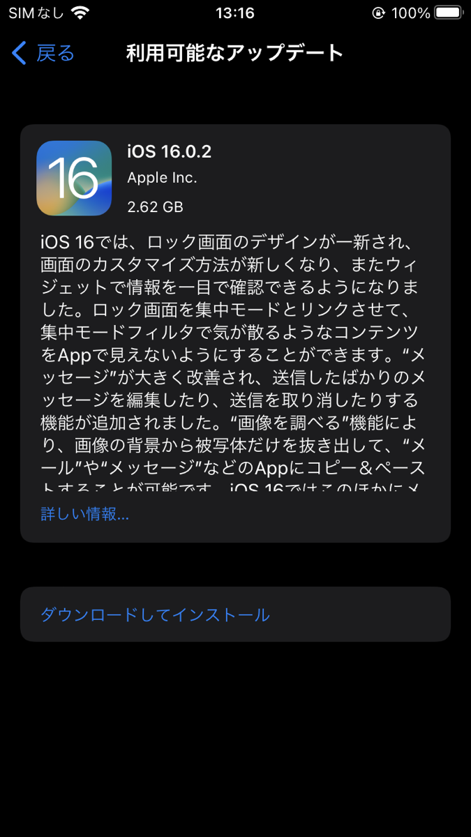 最新iOS16 /第七世代 2019/バッテリー100% 優秀 | cienciahoy.org.ar