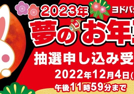 ヨドバシカメラ、「夢のお年玉箱」抽選販売開始