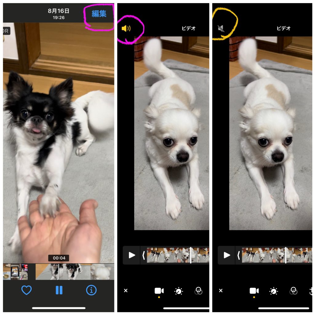 SNSに動画を投稿する前に確認を！動画の音声だけ消す方法