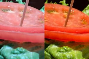 「Pixel 8 Pro」「iPhone 15 Pro Max」ガチンコ勝負　カメラはどちらが上か