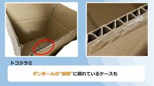 ネット通販で手軽になった海外製品の買い物で気を付けるべきこと